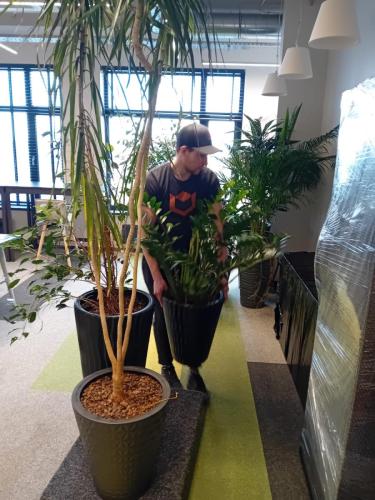 12 (1) (1) (1) (1) (1) (1) (1) (1)