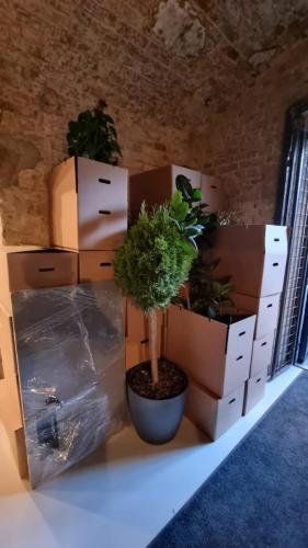 13 (1) (1) (1) (1) (1)