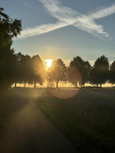 1 (1) (1) (1) (1) (1) (1) (1) (1) (1) (1) (1) (1)