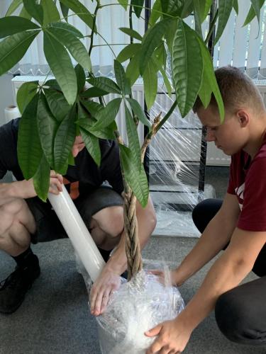 7 (1) (1) (1) (1) (1) (1) (1)