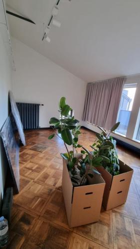 8 (1) (1) (1) (1) (1) (1) (1) (1) (1)