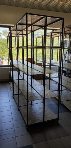 PHOTO-2021-05-30-21-15-54